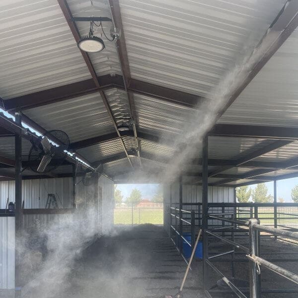 Misting system installation in a barn setting, showcasing overhead misting lines and fans for cooling, with visible dust and sunlight filtering through the structure.
